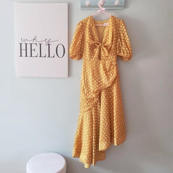 NWOT Keepsake mustard dot print ruched midi dress - Picture 7 of 7